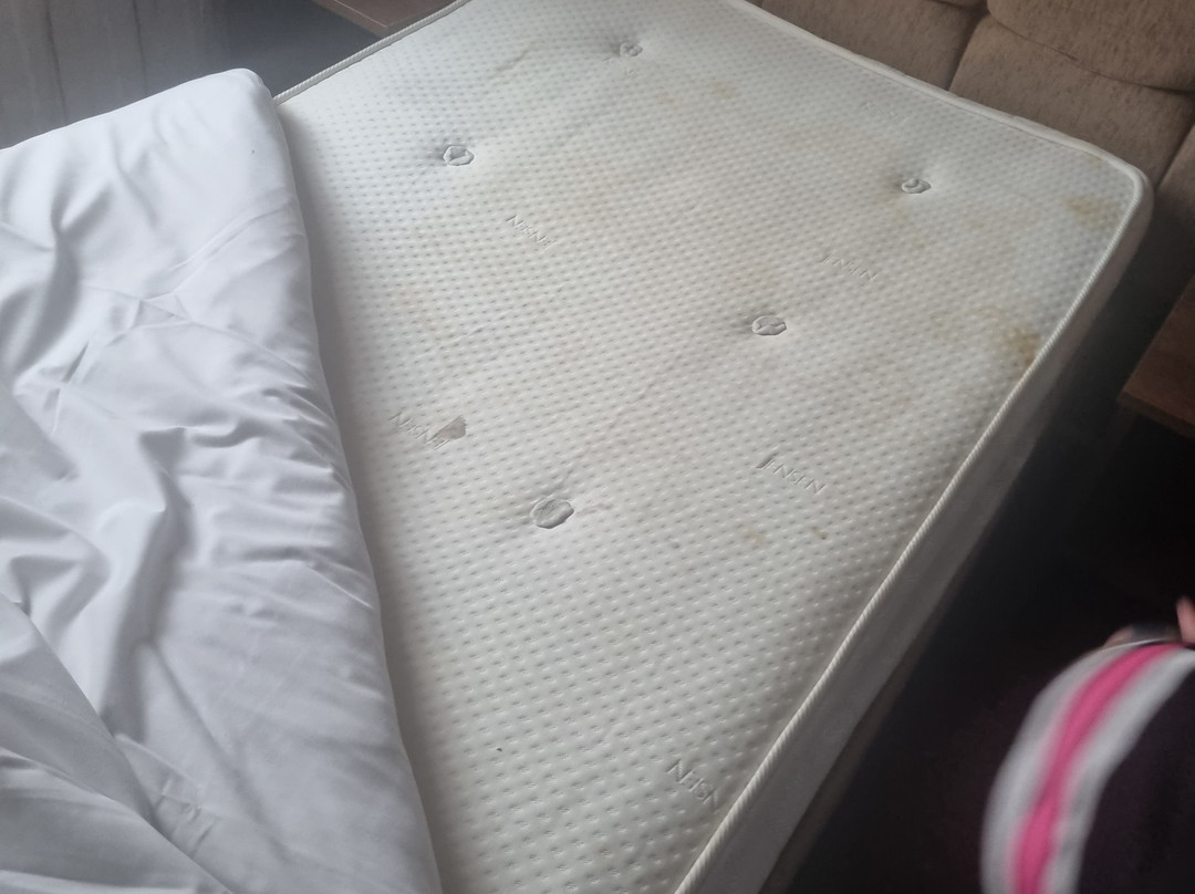 撒克逊霍姆酒店主图