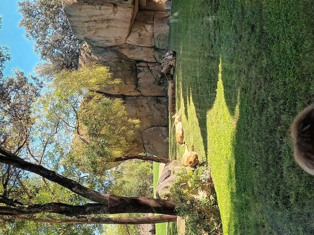 水景三号舒适酒店主图