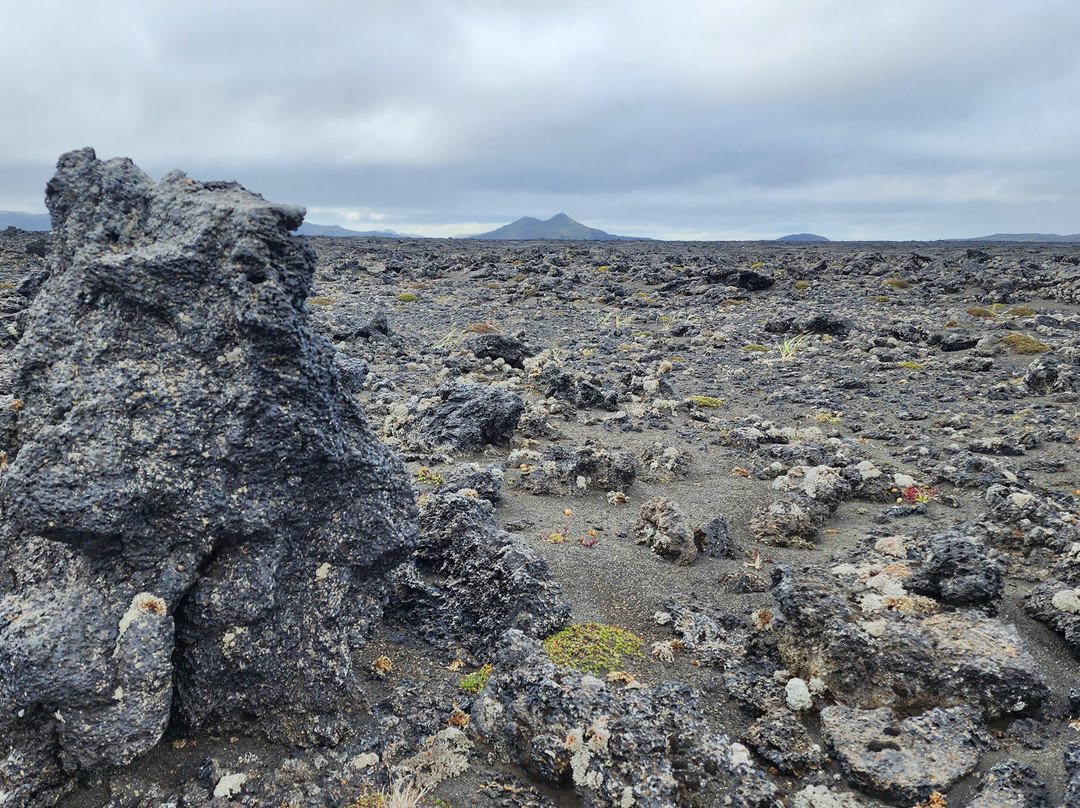 Ice Pic Journeys-Jokulsarlon必去景点