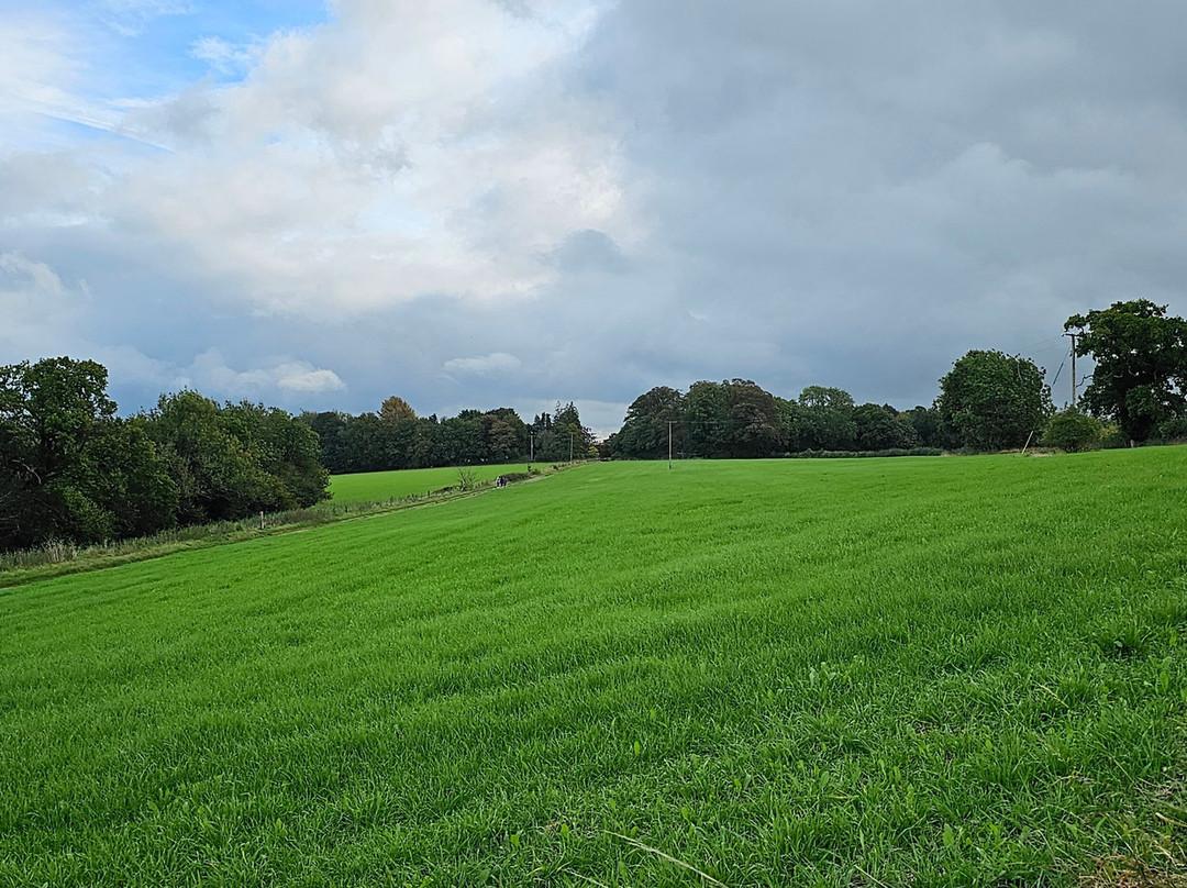 Pickwick Lodge Farm B&B主图