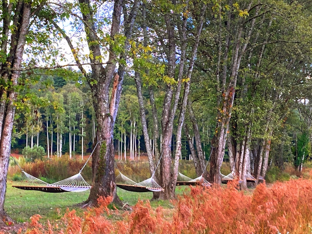 Deerwoode Reserve主图