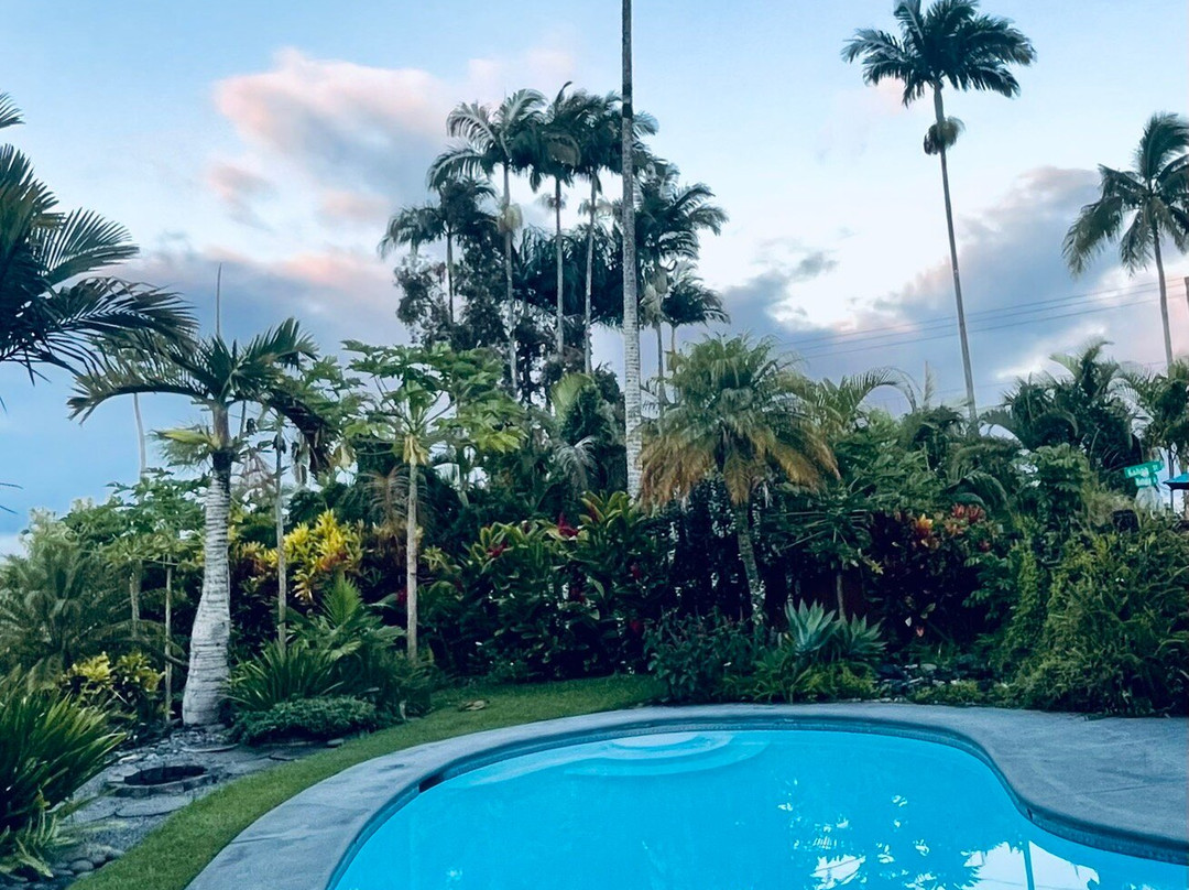 玉兰树旅社主图