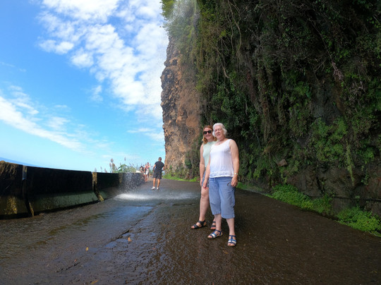 iGo Madeira Tours-马德拉群岛必去景点