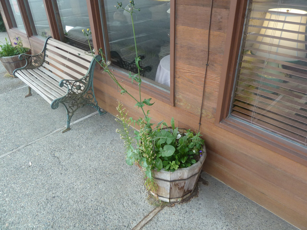 Timber Lodge Inn主图