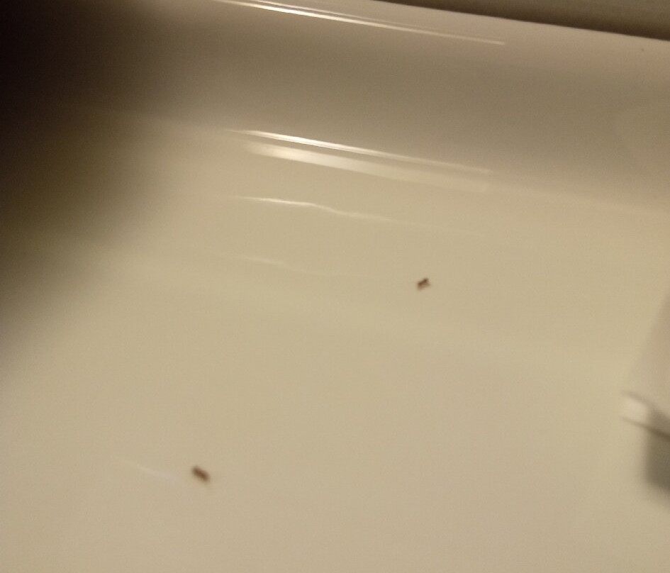 Kasteli Studios & Apartments主图