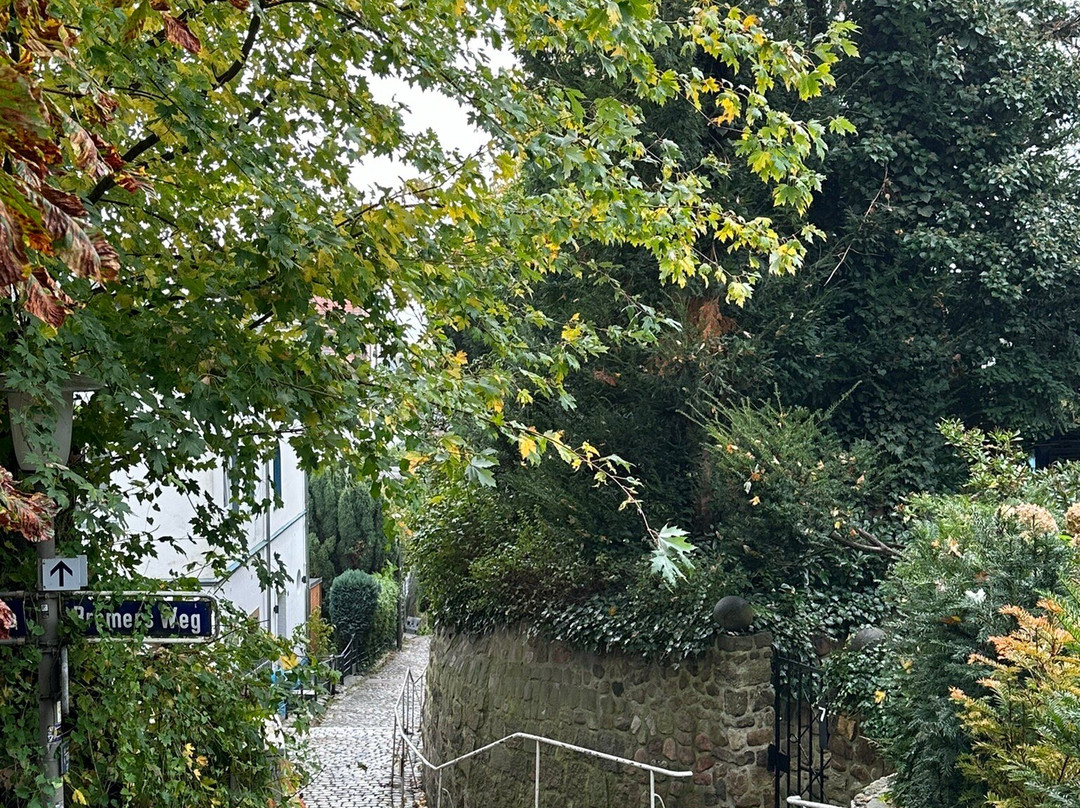 Treppenviertel Blankenese-汉堡必去景点