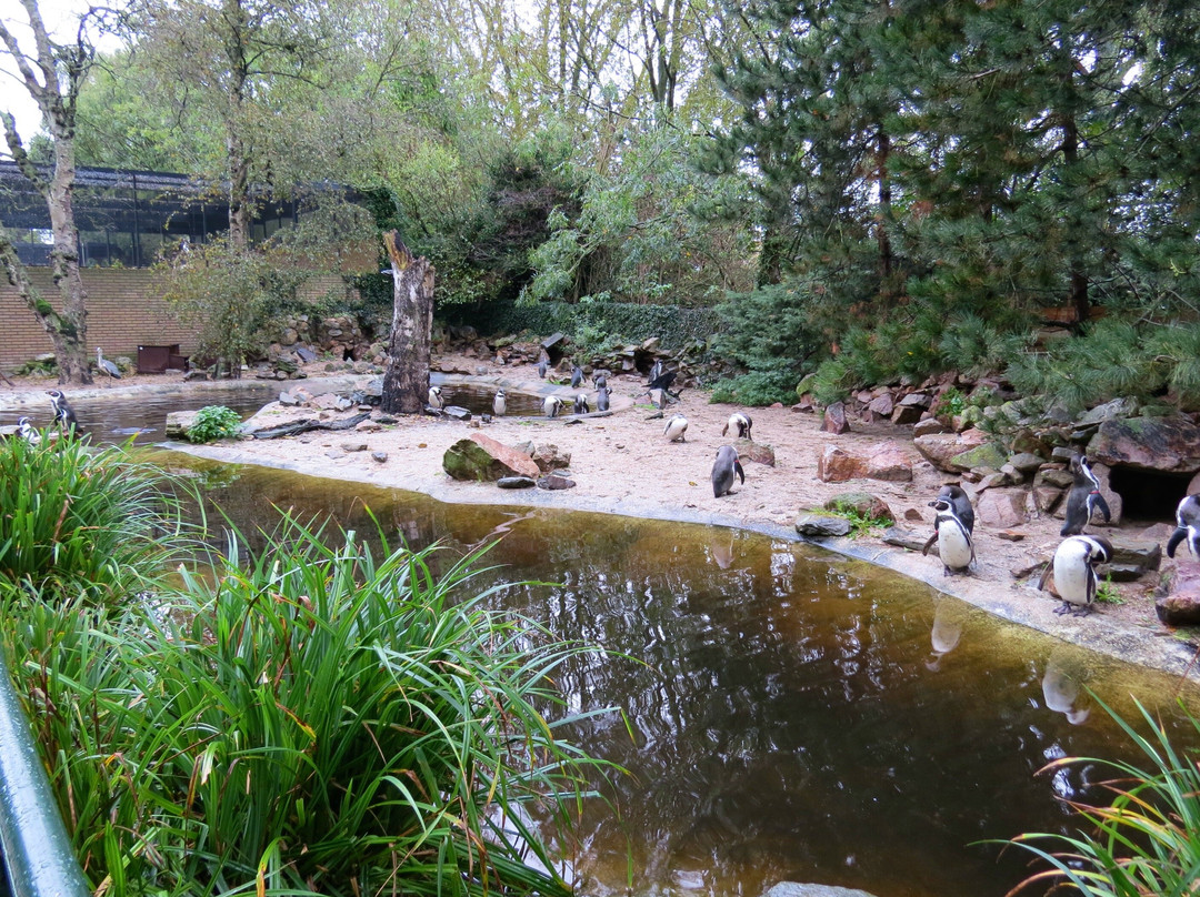 Vogelpark Avifauna-Alphen aan den Rijn必去景点