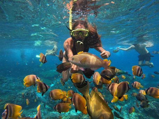 Family Trips Bali-乌布必去景点