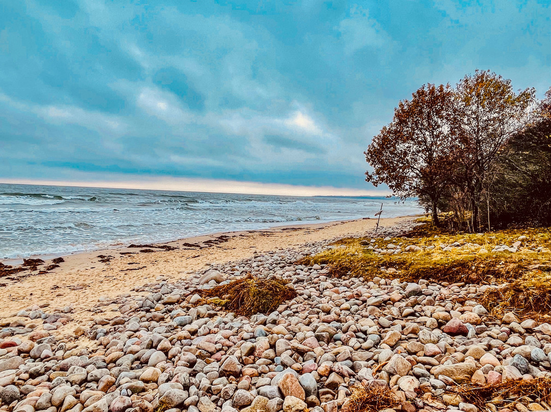 Stenshuvud Nationalpark-Kivik必去景点