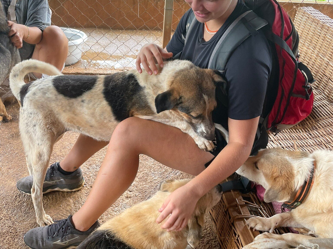 Happy Tails Dog Sanctuary-Baie du Cap必去景点