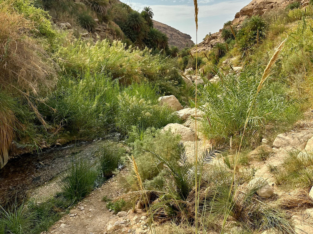 Wadi Bin Hammad-Karak必去景点