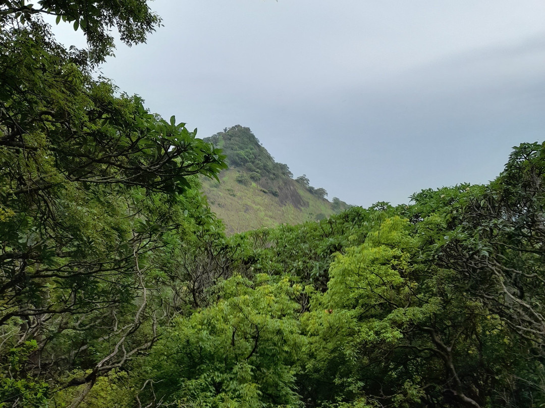 Smart Taxi & Tours Pasikudah-卡尔库达必去景点