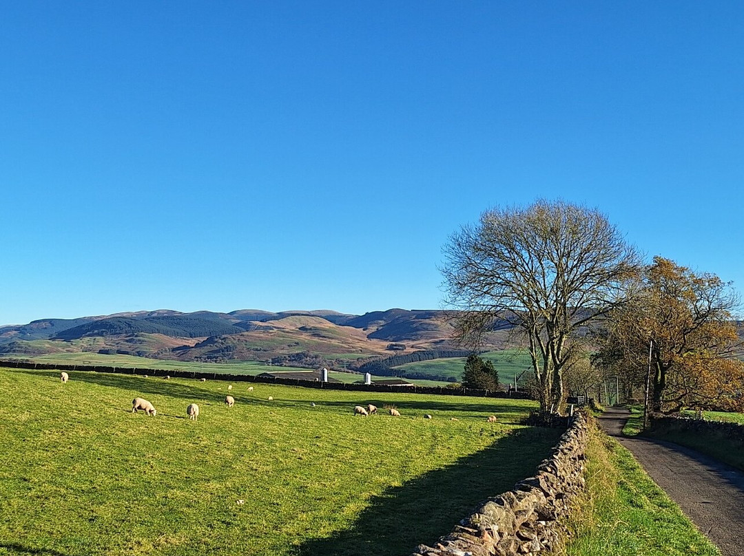 Cauldholm Bed and Breakfast主图