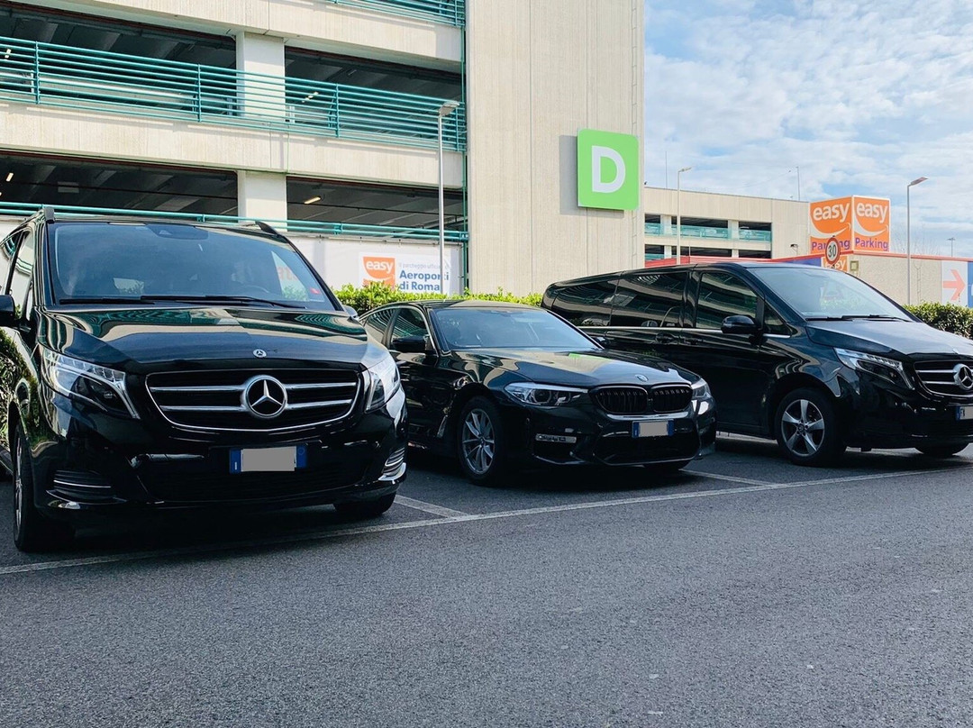 Hamburg Private Transfers & Limo Services: Airport, Cruise Port, Hotel Pickups