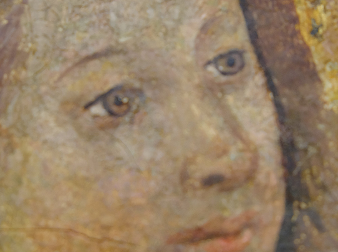 Museo Civico景点图片