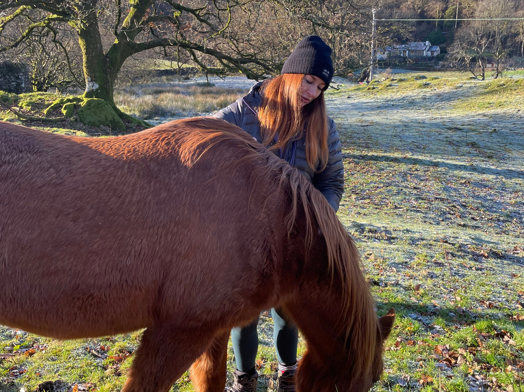 Full circle experiences-安布赛德必去景点