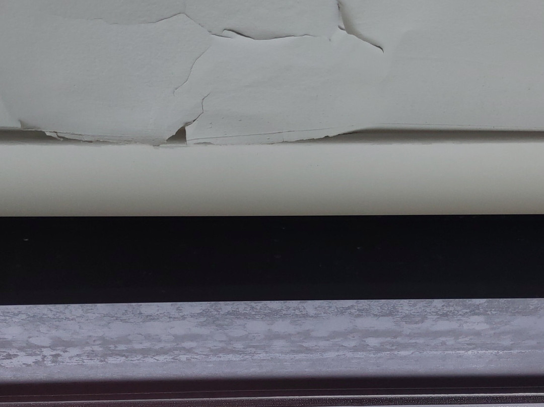 Hotel Forestel主图