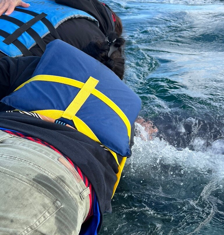 Antonios Eco-Tours-San Ignacio必去景点