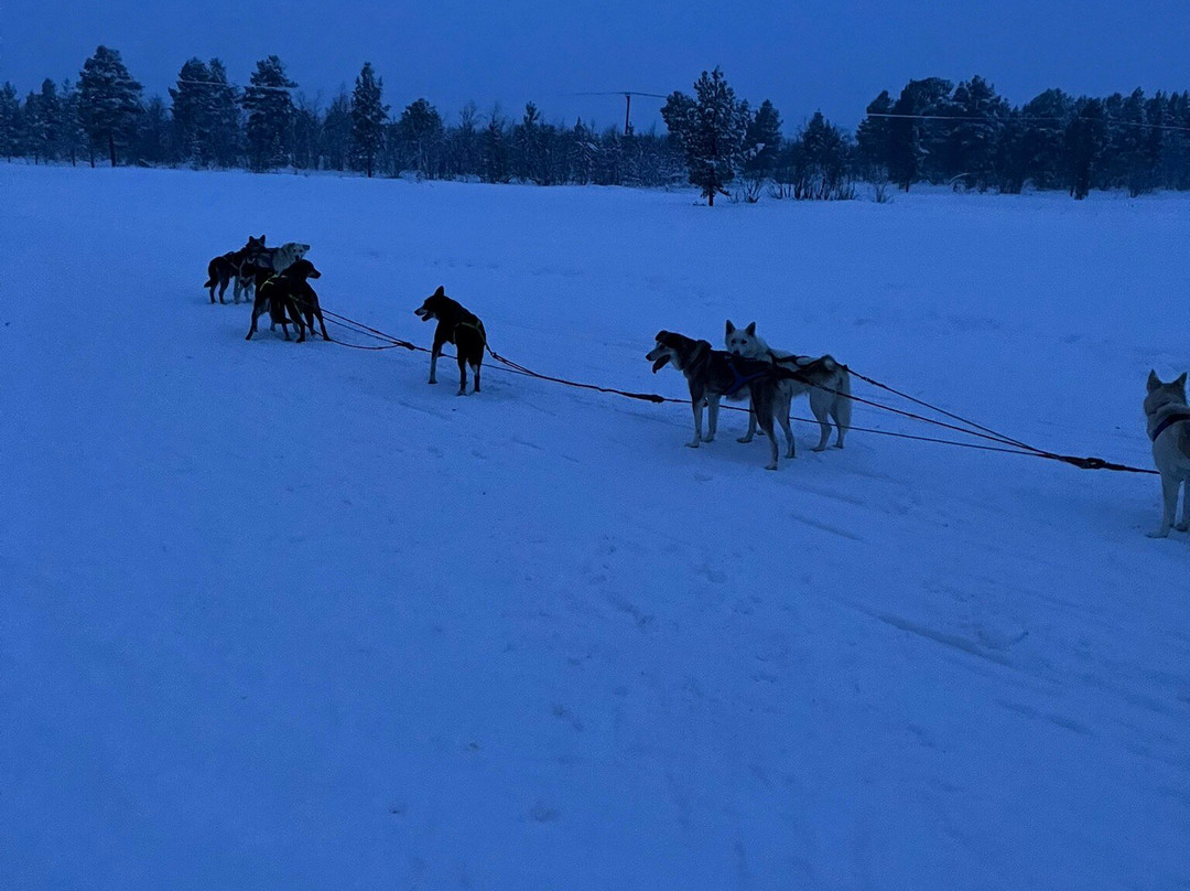 Canterbury Tales - Day Tour-Kittilä必去景点