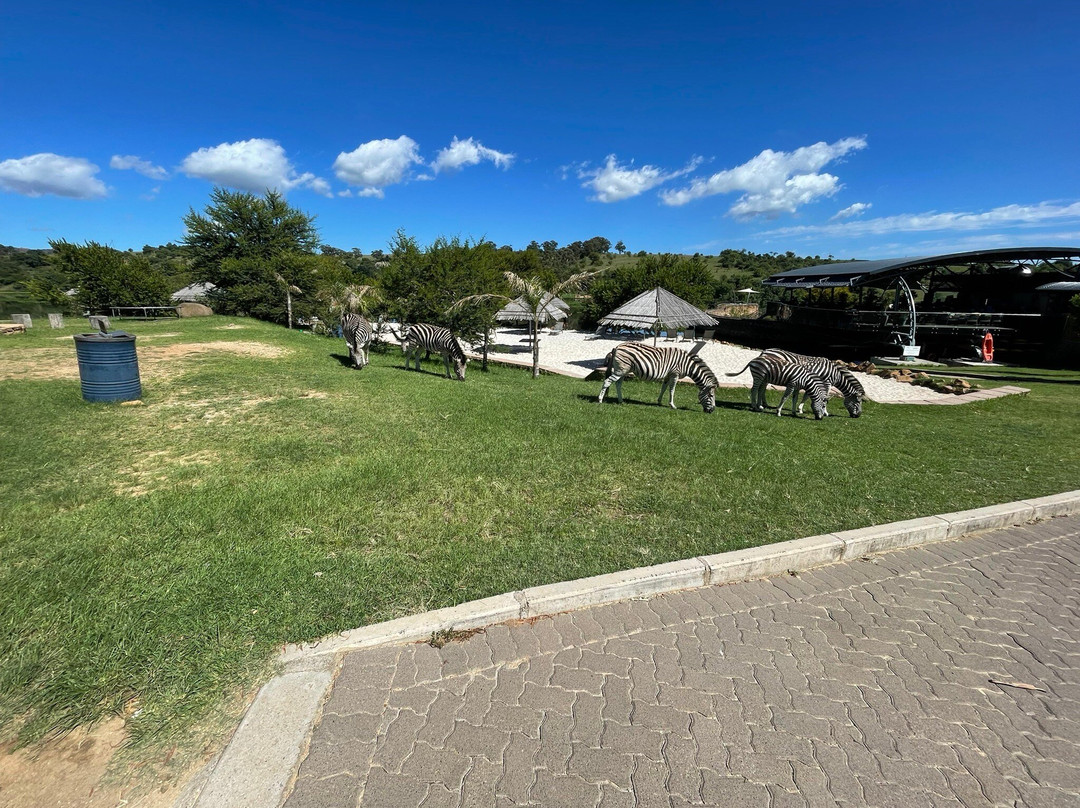 Shane Gouldie-约翰内斯堡必去景点