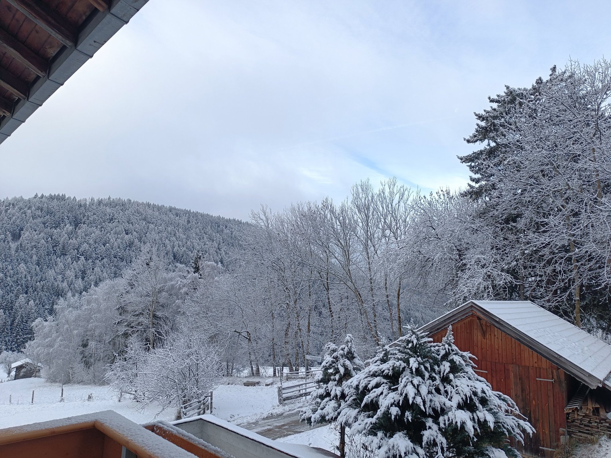 Pension Moarhof-官方