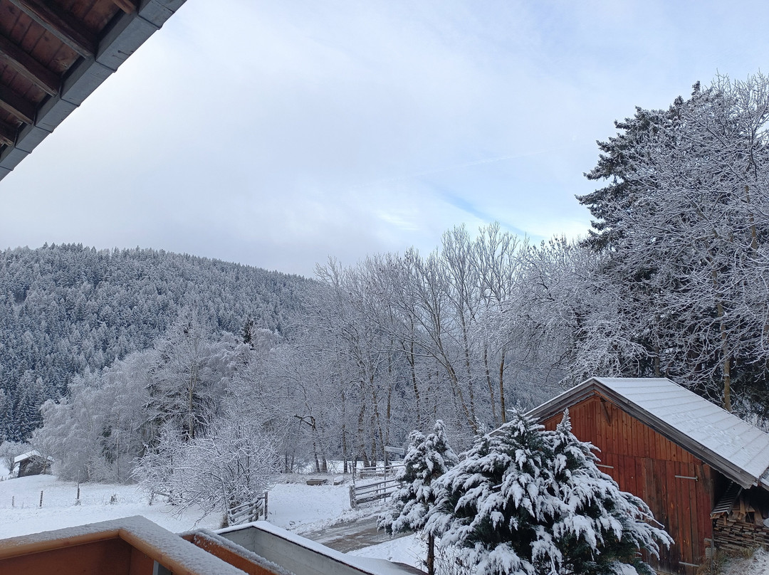 Pension Moarhof主图