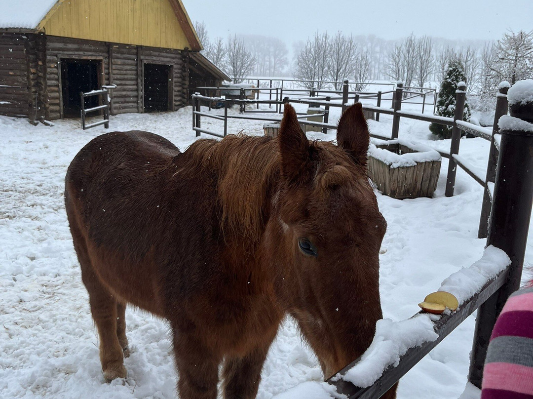 Konniy Dvor Guest House主图