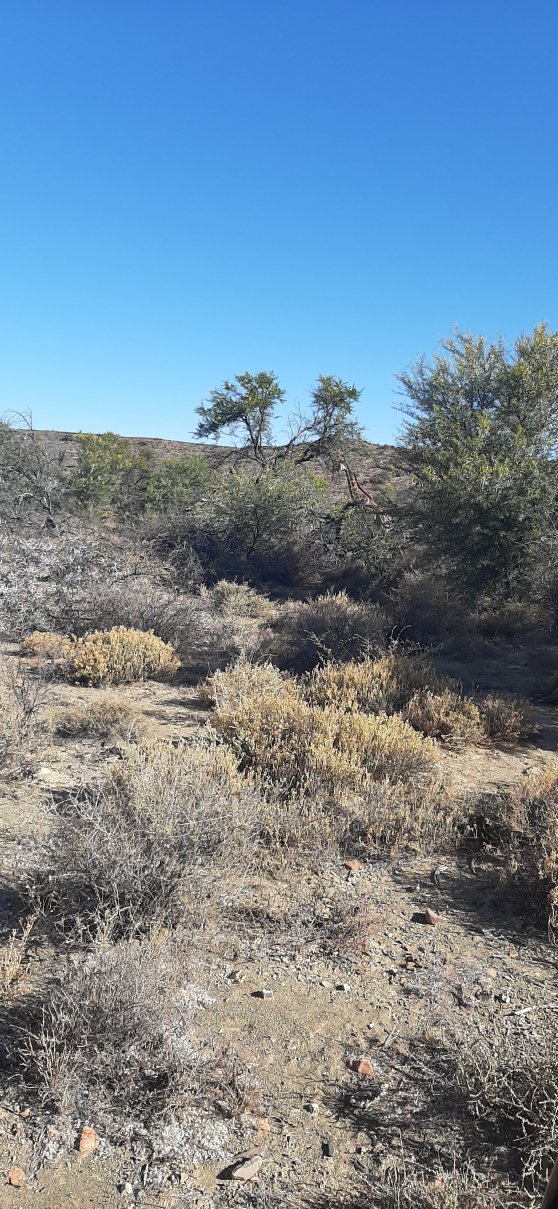 Roam Private Game Reserve-官方