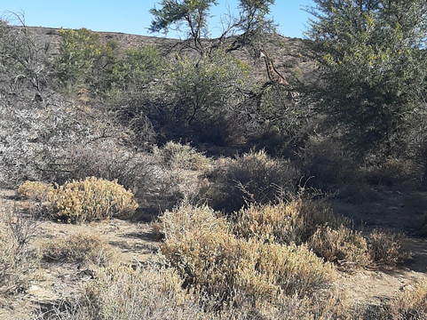 Roam Private Game Reserve主图