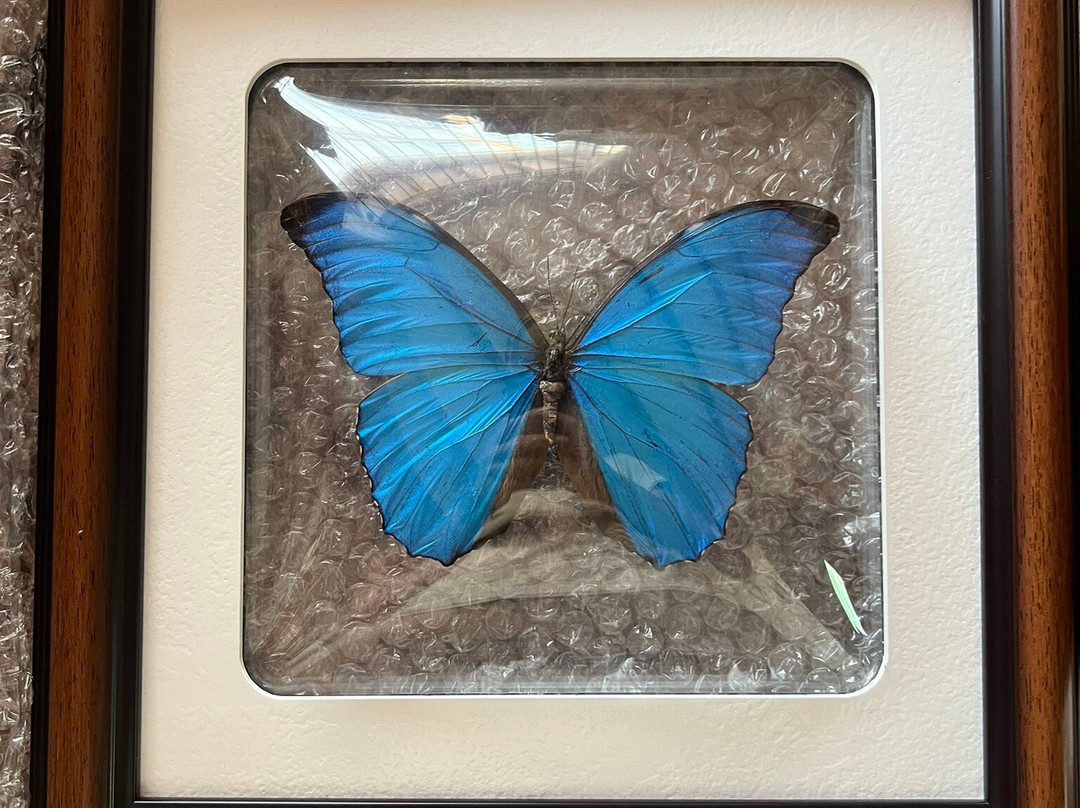 Bio Parque Monarca-Tenjo必去景点