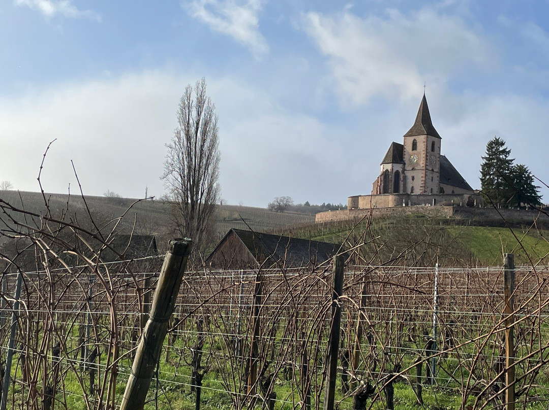 Route des Vins d'Alsace-科尔马必去景点