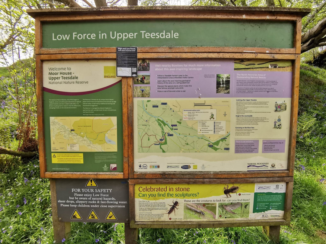 Summerhill Force And Gibsons Cave-Middleton in Teesdale必去景点