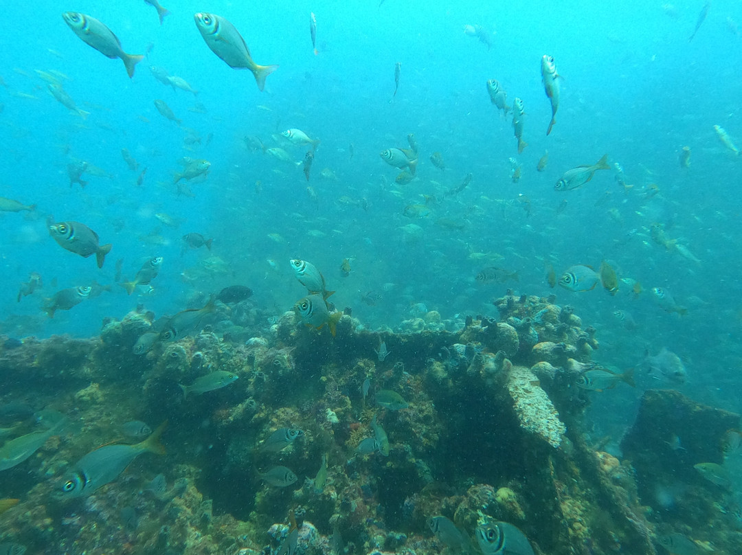 Southern Tip Extreme Activity Centre-Struisbaai必去景点