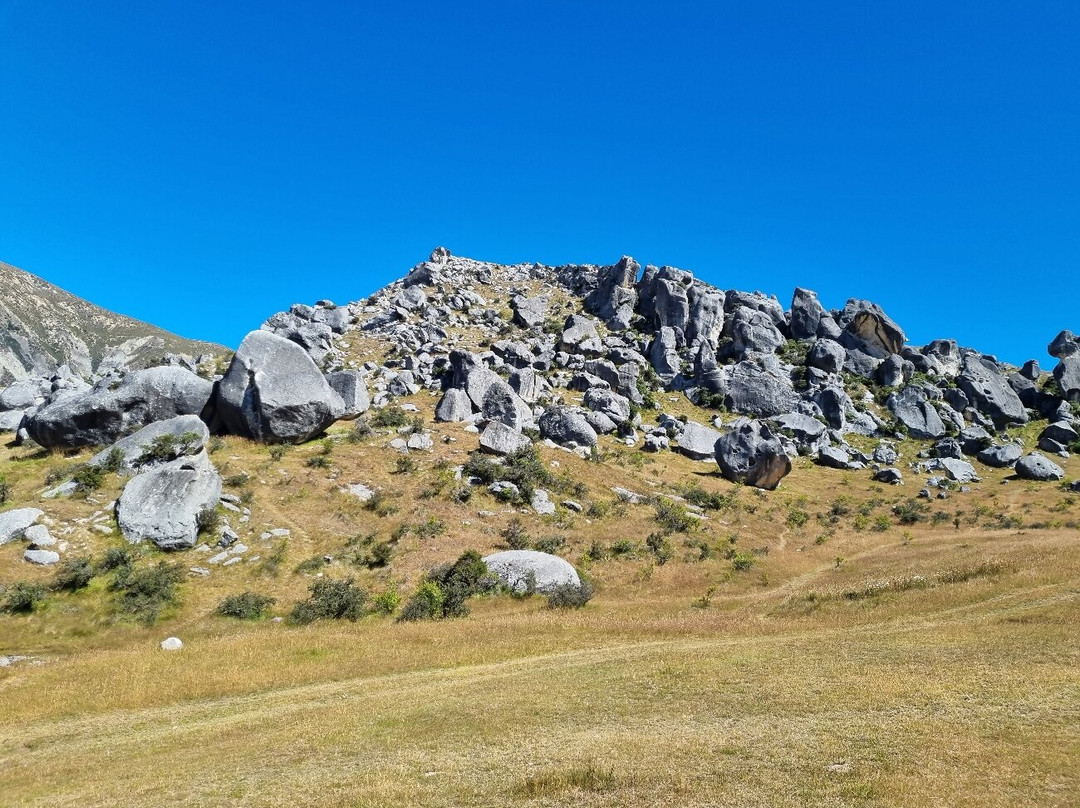 Kura Tawhiti Conservation Area-Castle Hill必去景点