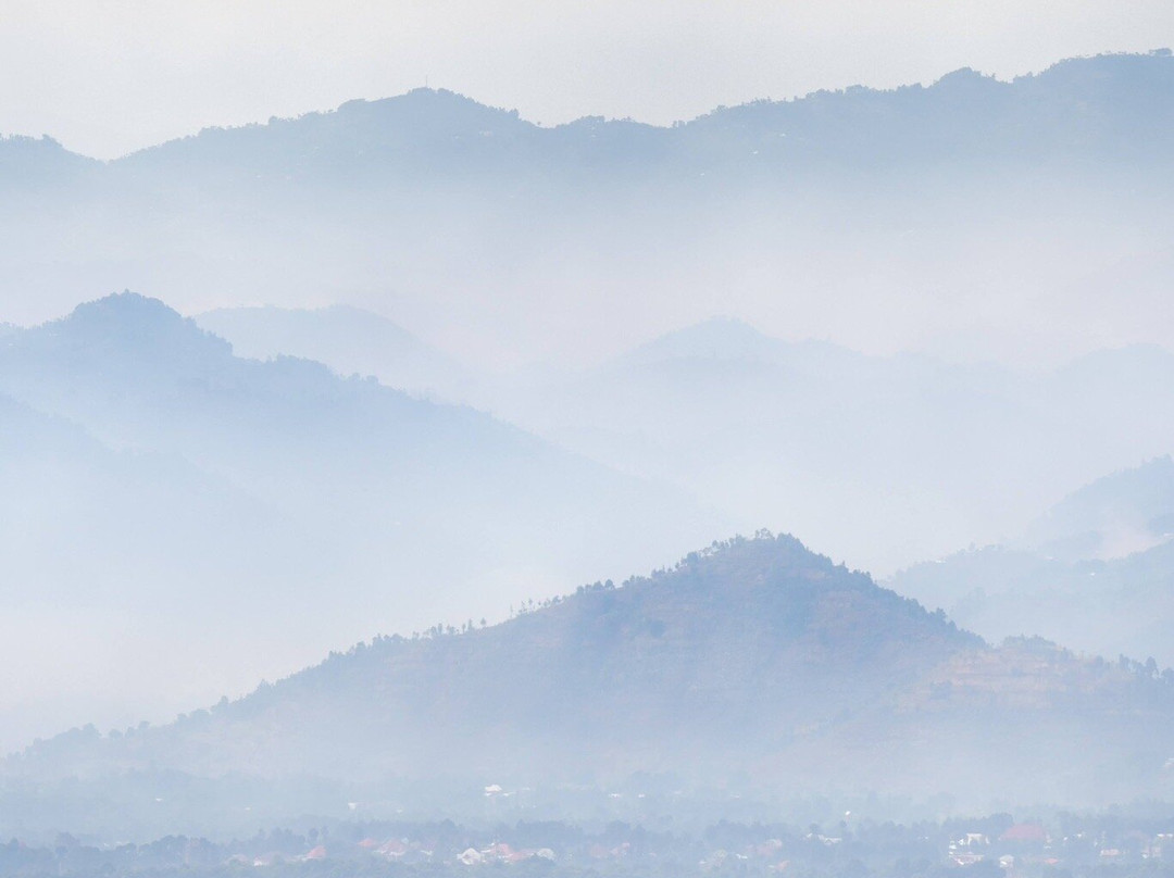 Volcanoes National Park Rwanda景点图片