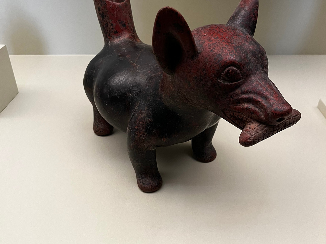 Museo Amparo-普埃布拉必去景点