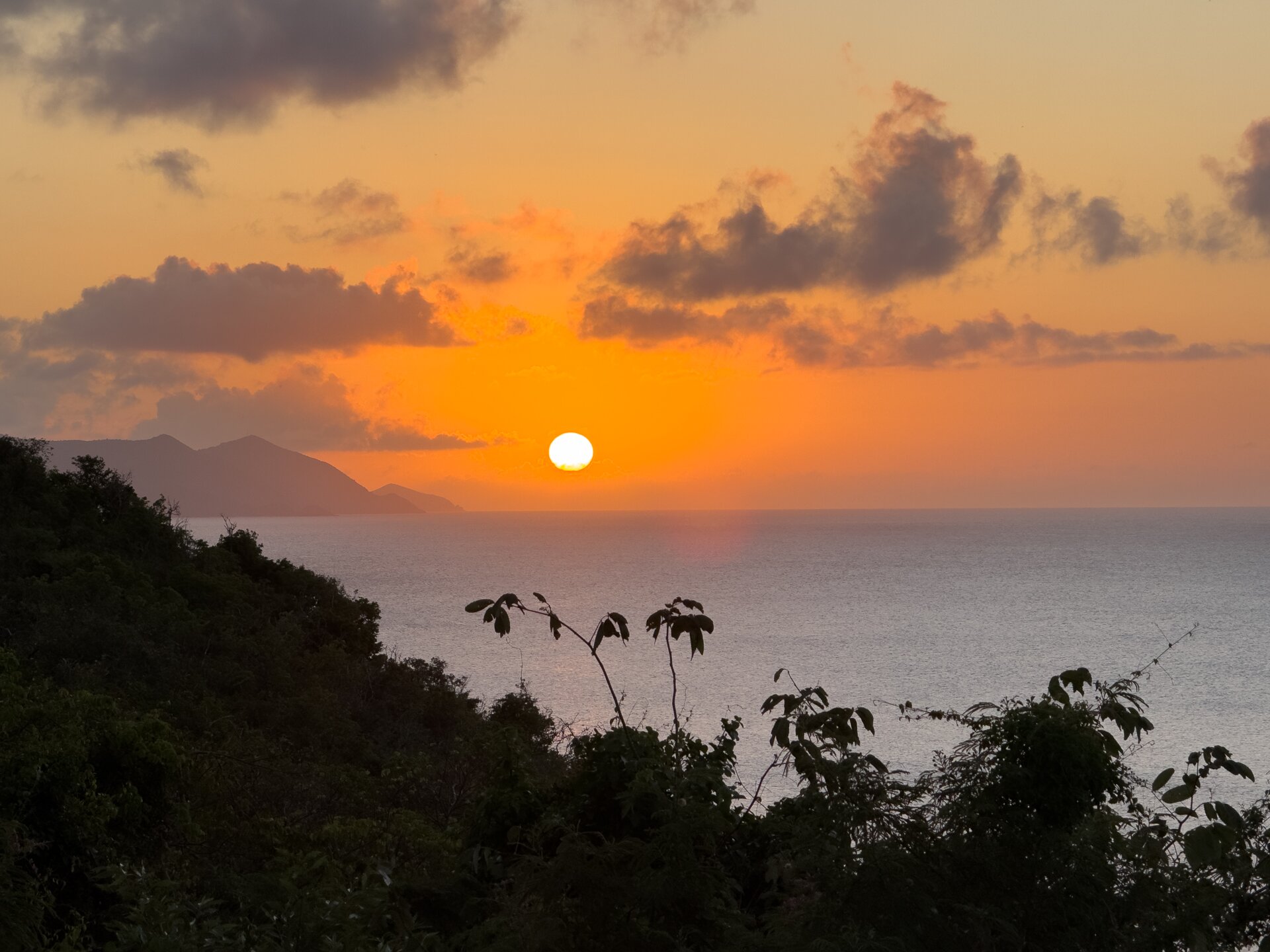 Guana Island-酒店景观