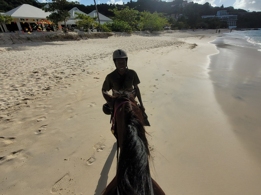 Bonanza Stables-St. George's必去景点