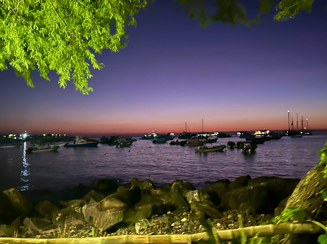 The Pier Galapagos Restaurant & Cevicheria