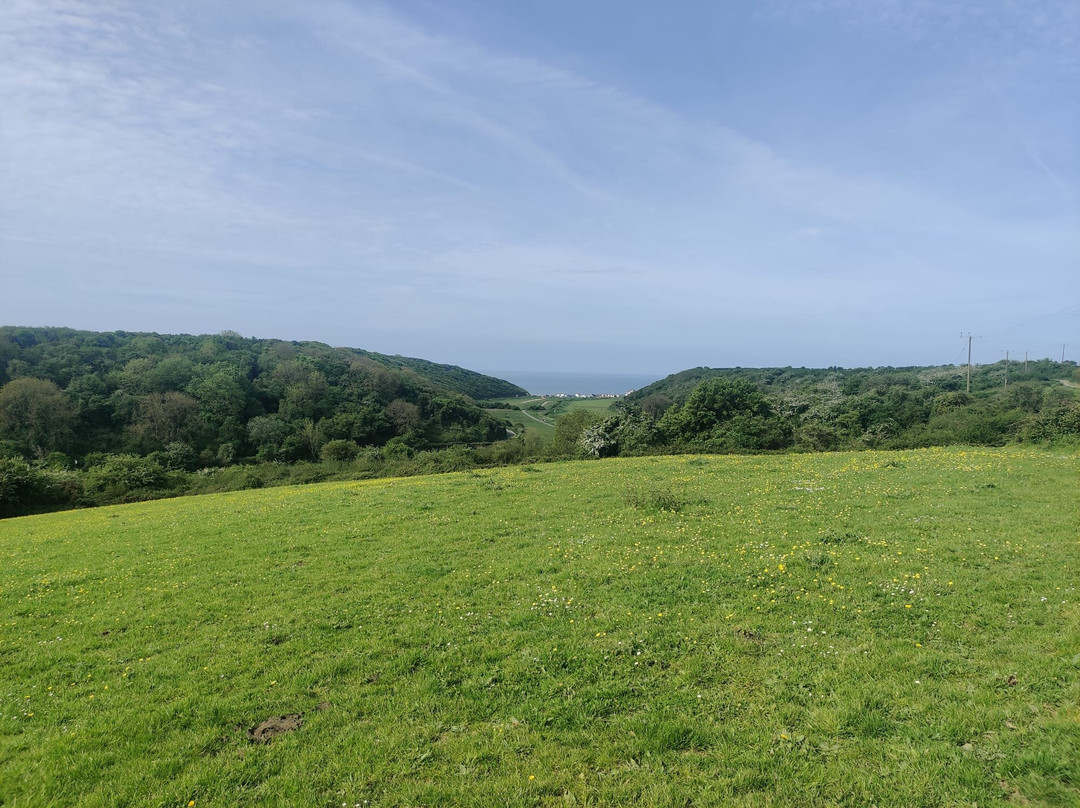 The Glamorgan History Walks