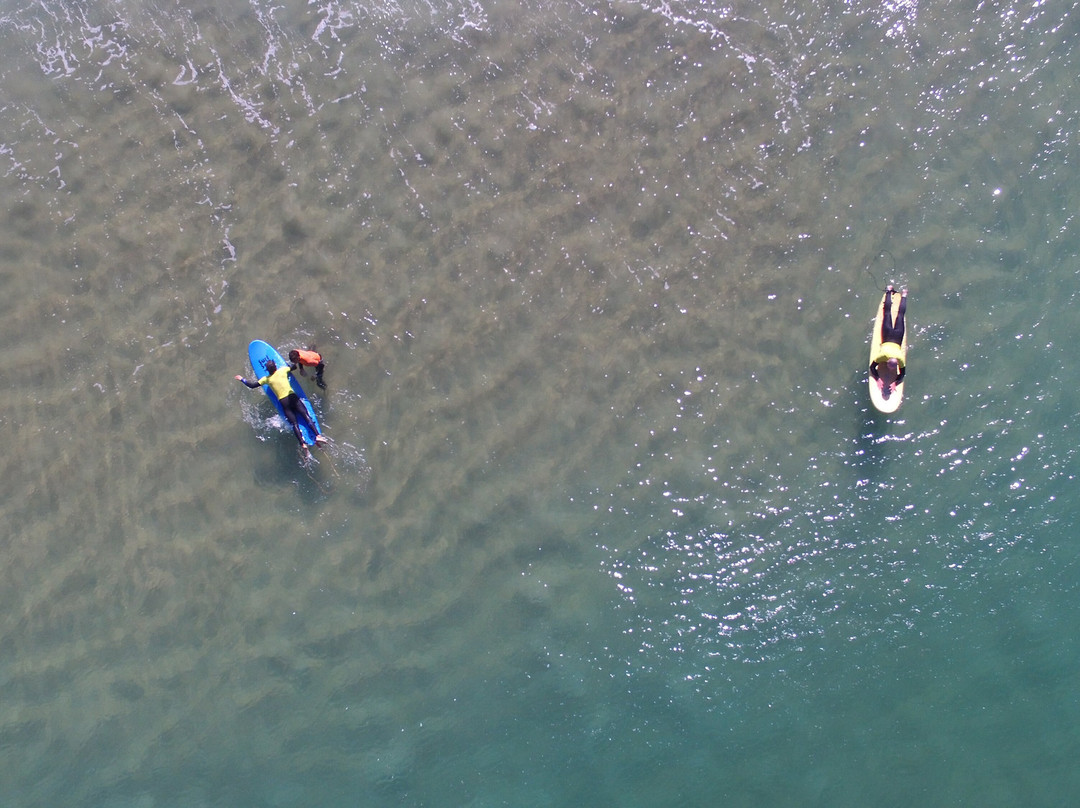 Global Surf School & Camp景点图片