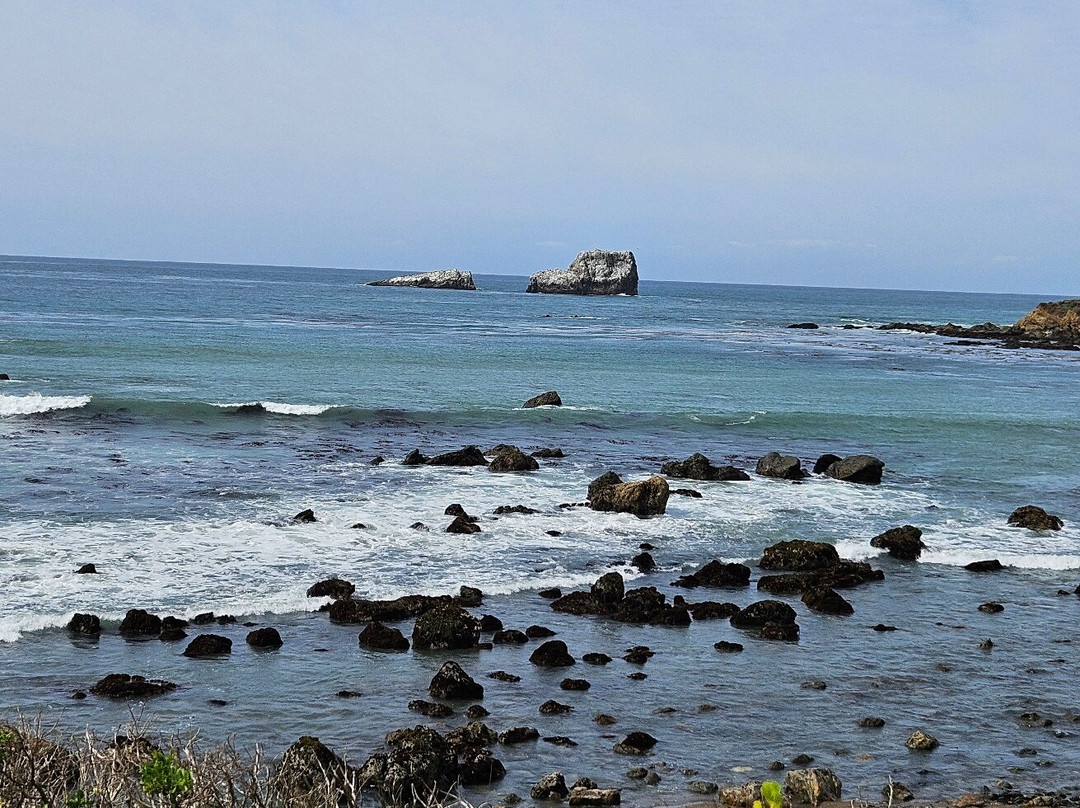 Elephant Seal Vista Point景点图片