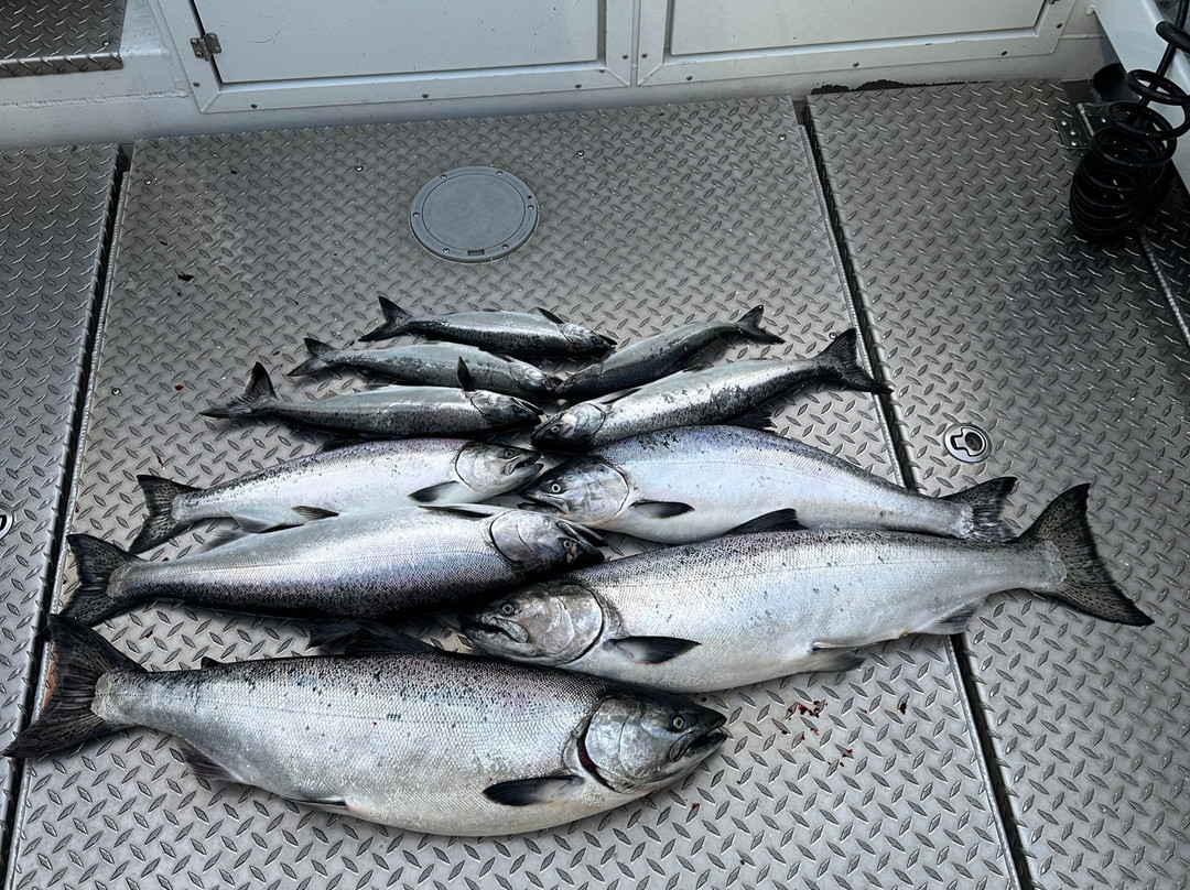 Reelin Leland Fishing Charters景点图片