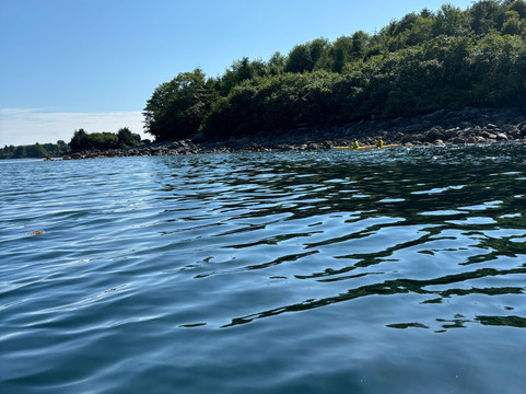 Sitka Wild Coast Kayaks-锡特卡必去景点