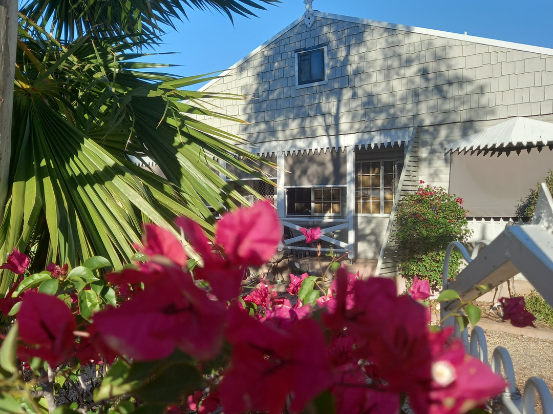 Sonja's Bed & Breakfast主图