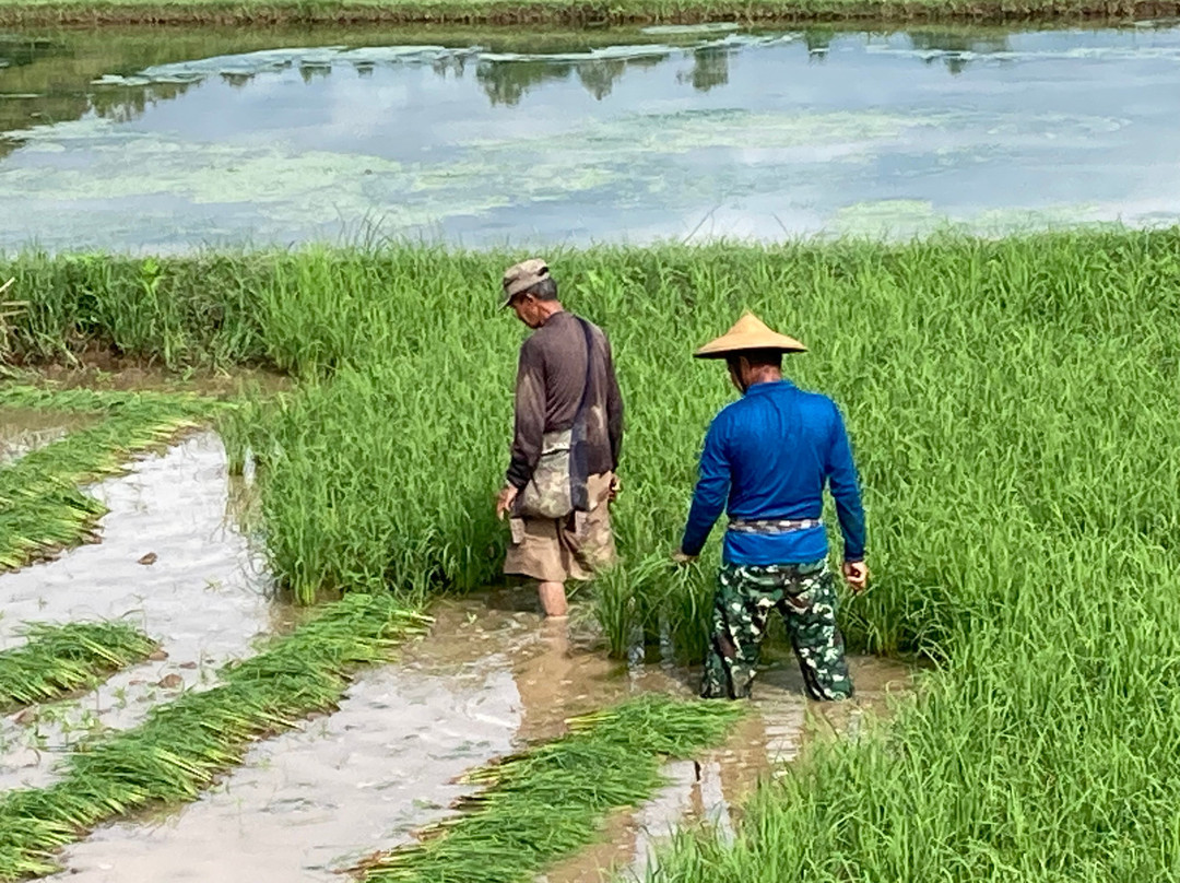 Mae Hong Son Holidays景点图片