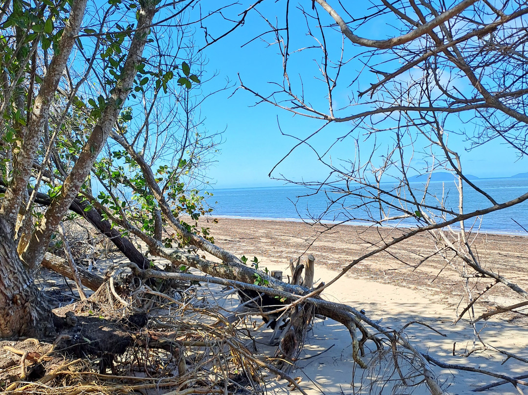 Hinchinbrook Island Cruises-卡德威尔必去景点