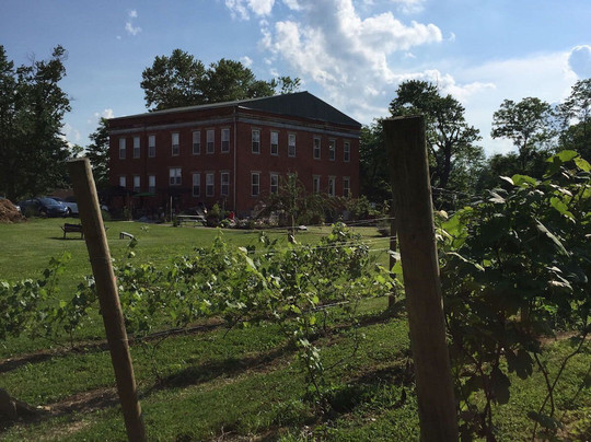 Schoolyard Winery-Verona必去景点