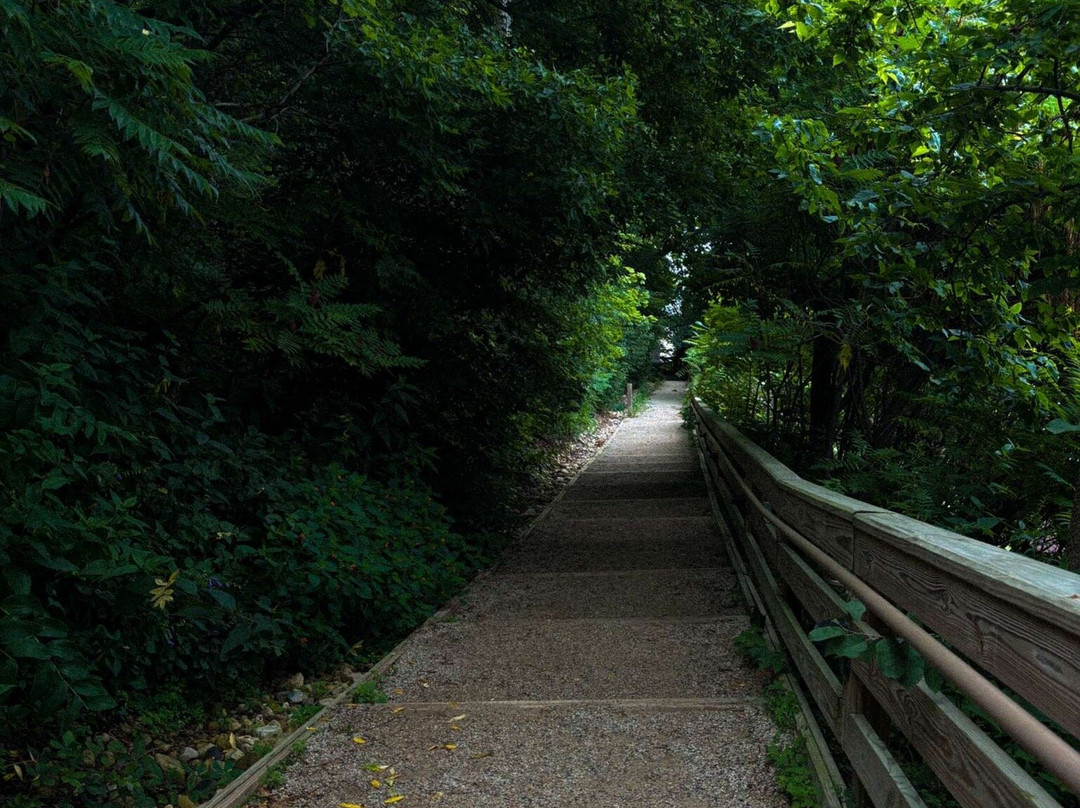 Sunrise Park-Lake Bluff必去景点