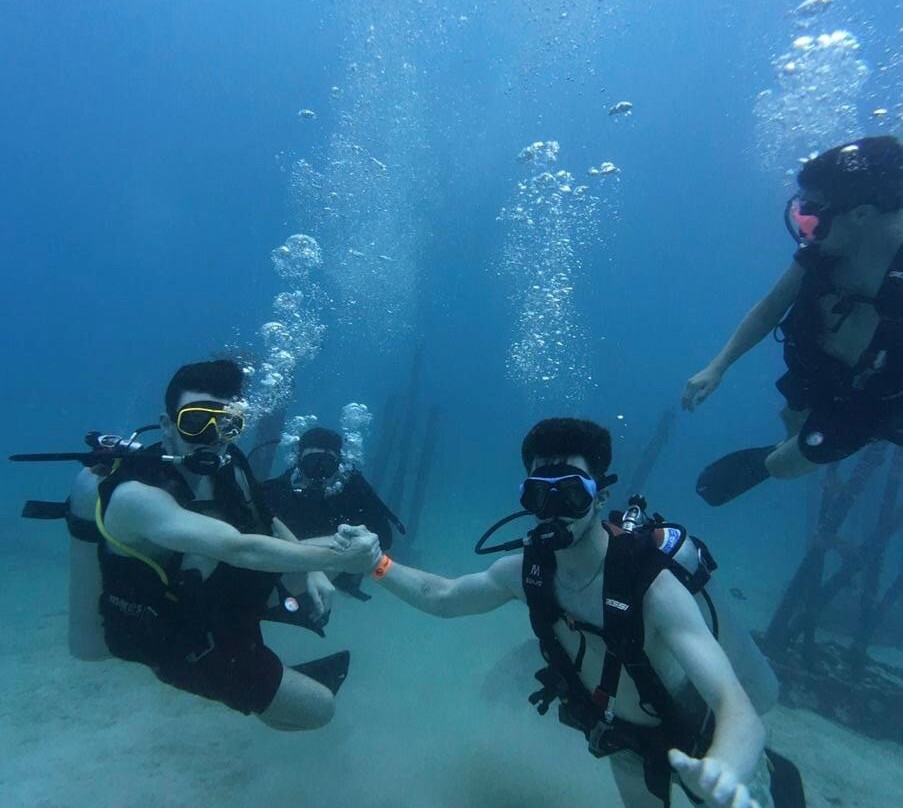 Mojo Divers-涛岛必去景点